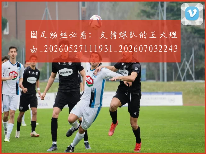 国足粉丝必看:支持球队的五大理由_20260527111931_20260703224346