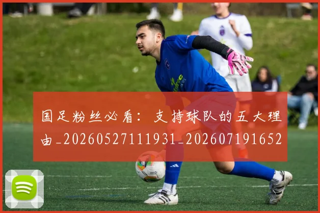 国足粉丝必看：支持球队的五大理由_20260527111931_20260719165209